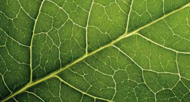 ENFORCEABILITY OF ANNULLED FOREIGN ARBITRAL AWARDS VS LEX LOCI ARBITRI