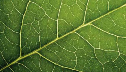 ENFORCEABILITY OF ANNULLED FOREIGN ARBITRAL AWARDS VS LEX LOCI ARBITRI