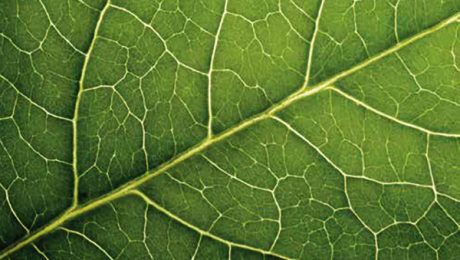 ENFORCEABILITY OF ANNULLED FOREIGN ARBITRAL AWARDS VS LEX LOCI ARBITRI