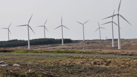 THE NEW ENVIRONMENTAL IMPACT ASSESSMENT REGULATION